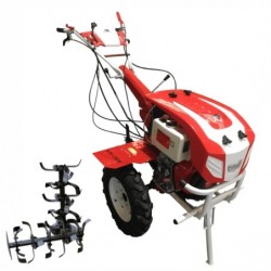 Motocultor BISONTE Agro Garden BTA-12SDE latime lucru 1350mm adancime 300mm, cover motor Diesel 12cp