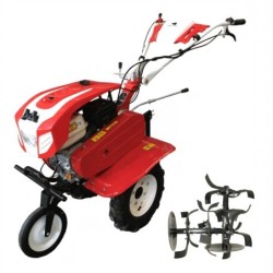 Motocultor BISONTE Agro Garden BTA-900 latime de lucru 560 – 830 mm, adancime 300 mm, motor 7 cp