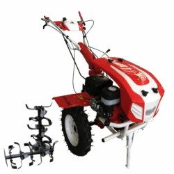 Motocultor BISONTE Agro Garden BTA-13SG latime de lucru 1350 mm, adancime 300 mm, motor 13 cp