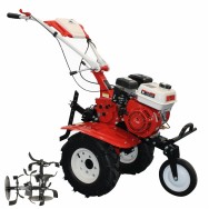 Motocultor BISONTE Agro Garden BTA-900FC latime lucru 560–830mm adancime 300mm motor 7cp (FC)