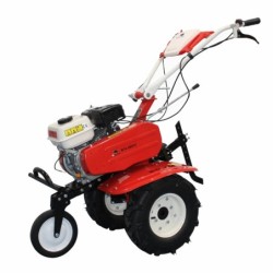 Motocultor BISONTE Agro Garden BTA-900FC latime lucru 560–830mm adancime 300mm motor 7cp (FC)