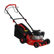 Masina de tuns gazonul BISONTE Agro Garden BTA-MTG425 motor benzina 2.7 cp