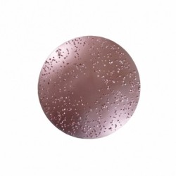 Disc metalic abrazivpentru Chameleon ROKAMAT Ø 200 mm, mediu (2 buc)