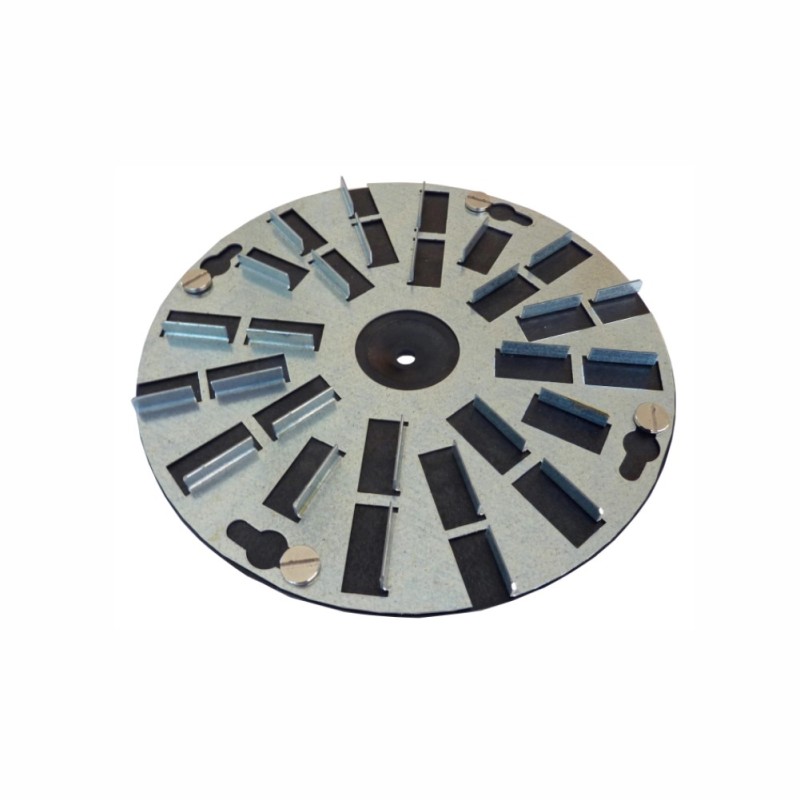 RS Disc metalic abrazivpentru Chameleon ROKAMAT Ø 200 mm, mediu (2 buc)