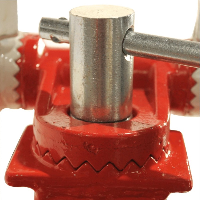 Motocultor BISONTE Agro Garden BTA-900FC latime lucru 560–830mm adancime 300mm motor 7cp (FC-FR)