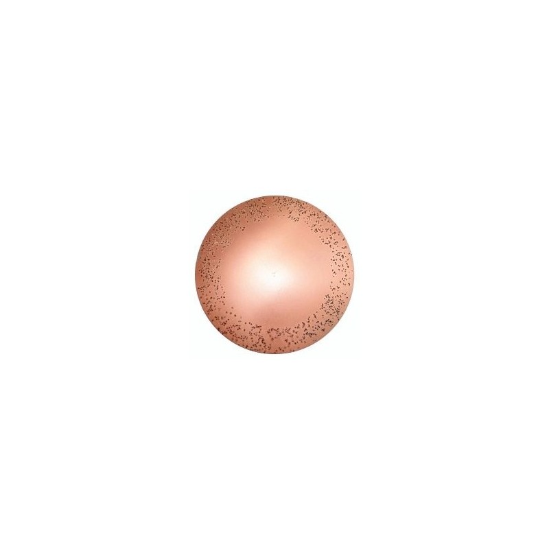 Disc metalic abraziv pentru Chameleon ROKAMAT Ø 200 mm, fin (2 buc)