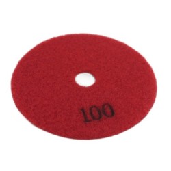 Paduri / dischete diamantate pt. slefuire uscata #100 Ø100mm - DXDY.DRYPAD.100.0100