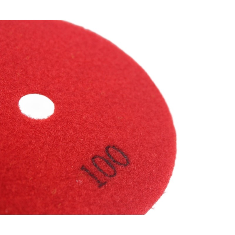 Paduri / dischete diamantate pt. slefuire uscata #100 Ø125mm - DXDY.DRYPAD.125.0100