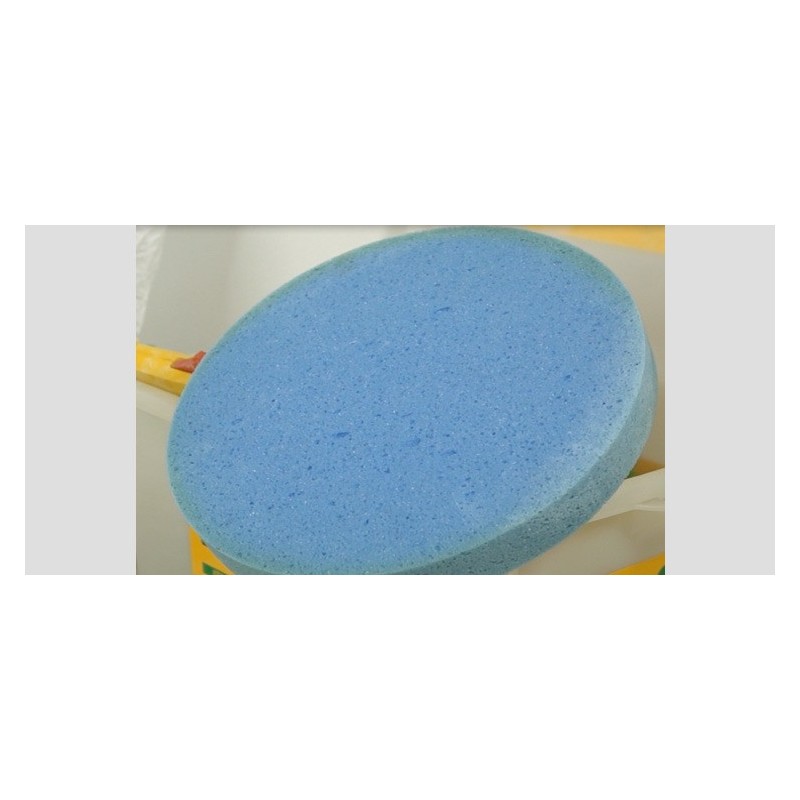 Drisca electrica - Finisare umeda tencuieli si gleturi mecanizate, pompa de apa incorporata + cutie de accesorii - LS-SV18