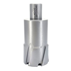 Carota pt. otel din carbura de tungsten, ⌀ 42mm, h=50mm, cu prindere Weldon - DXDY.P-TCT-50.42.W