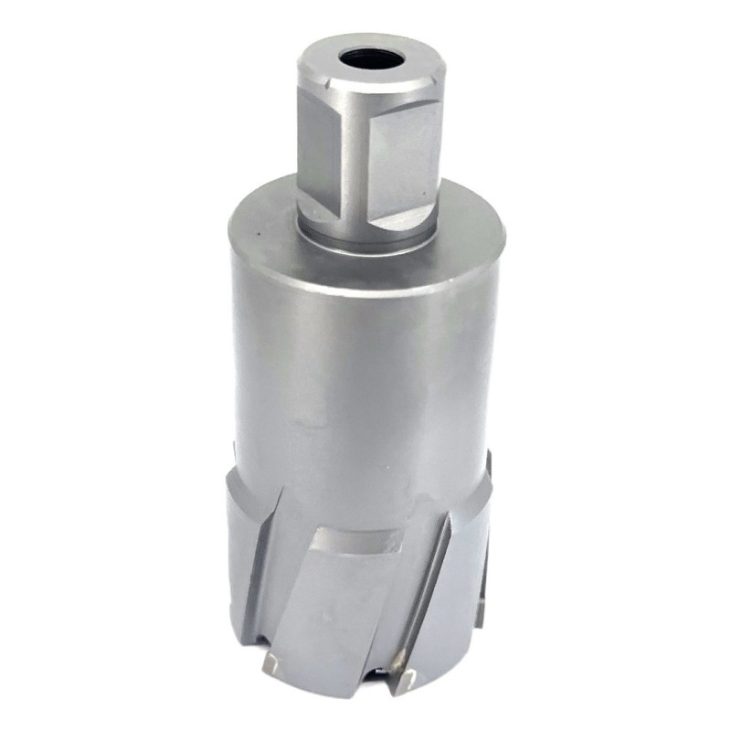 Carota pt. otel din carbura de tungsten, ⌀ 42mm, h=50mm, cu prindere Weldon - DXDY.P-TCT-50.42.W