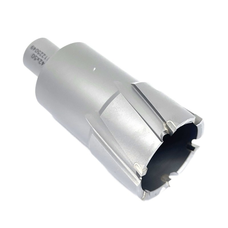 Carota pt. otel din carbura de tungsten, ⌀ 42mm, h=50mm, cu prindere Weldon - DXDY.P-TCT-50.42.W