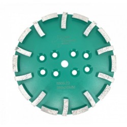 Disc cu segmenti diamantati pt. slefuire pardoseli - segment dur - Verde - 250 mm - prindere 19mm - DXDY.8500.250.23