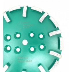Disc cu segmenti diamantati pt. slefuire pardoseli - segment dur - Verde - 250 mm - prindere 19mm - DXDY.8500.250.23
