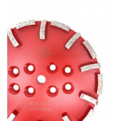 Disc cu segmenti diamantati pt. slefuire pardoseli - segment mediu - Rosu - 250 mm - prindere 19mm - DXDY.8500.250.43