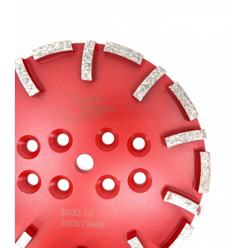 Disc cu segmenti diamantati pt. slefuire pardoseli - segment mediu - Rosu - 250 mm - prindere 19mm - DXDY.8500.250.43
