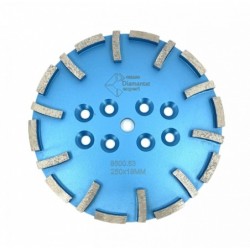 Disc cu segmenti diamantati pt. slefuire pardoseli - segment fin - Albastru - 250 mm - prindere 19mm - DXDY.8500.250.63