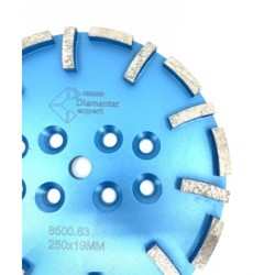Disc cu segmenti diamantati pt. slefuire pardoseli - segment fin - Albastru - 250 mm - prindere 19mm - DXDY.8500.250.63