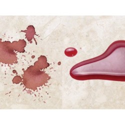 Tratament de protecție pt. rosturi împotriva petelor, hidrofob si oleofob, cu efect natural, Tenax Proseal, 1litru