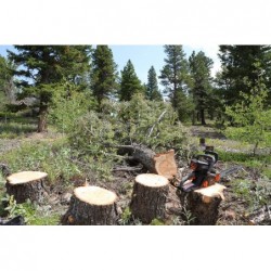 Redback EA216 ferastrau cu lant 400mm, 120V, solo