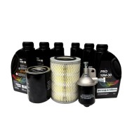 Pachet revizie motor diesel YND485D