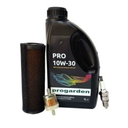 Pachet revizie motor benzina Loncin LC168F-2H