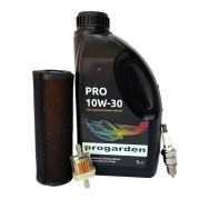 Pachet revizie motor benzina Loncin LC168F-2H