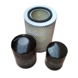 Set Filtre Aer, Ulei, Combustibil pentru YDY28S3