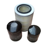 Set Filtre Aer, Ulei, Combustibil pentru YDY28S3