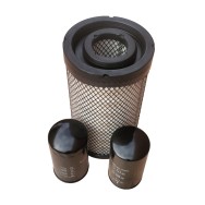 Set Filtre Aer, Ulei, Combustibil pentru YDSD138S3