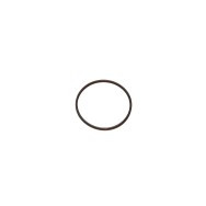 Cabel 6064001 O-Ring (A) pentru CSN-6A