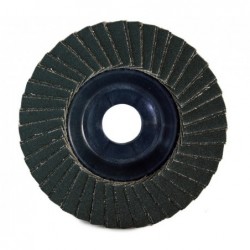 Bosch Disc evantai inox 125mm, R80