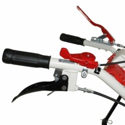 Motocultor BISONTE Agro Garden BTA-1001, 8.5 CP, 223 cc, 5.00-8, cu cover