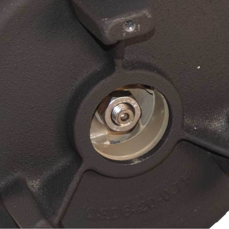 ProGARDEN QFD6-20-0.75A Pompa drenaj 1.25", 750W, apa murdara, 175L/min, 20m