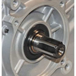 Panda PD188F - Motor benzina 8.2kW, 389cc, 1C 4T OHV, euro5, ax canelat