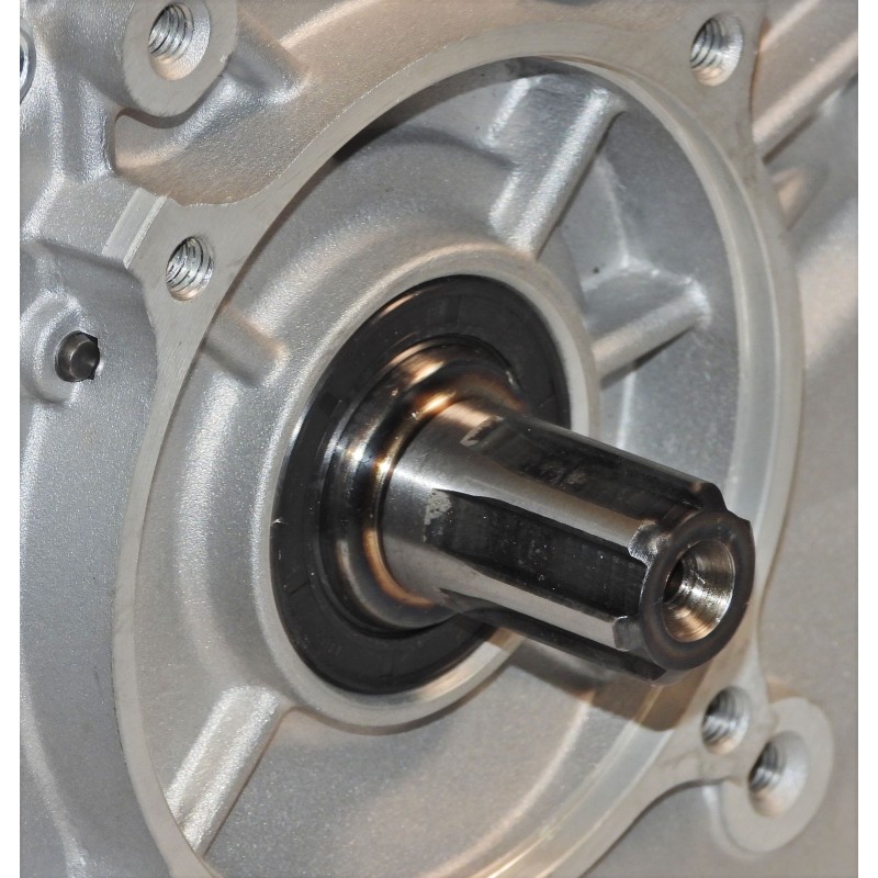 Panda PD188F - Motor benzina 8.2kW, 389cc, 1C 4T OHV, euro5, ax canelat