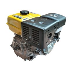 Panda PD192F Motor benzina 9.8kW, 439cc, 1C 4T OHV, EU V, ax canelat