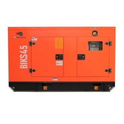Generator de curent Bisonte BIKS45, insonorizat, Putere maxima 44kVA 400V ATS inclus