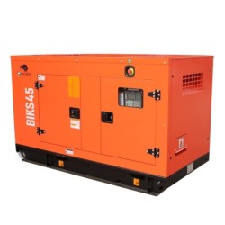 Generator de curent Bisonte BIKS45, insonorizat, Putere maxima 44kVA 400V ATS inclus