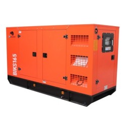 Generator de curent Bisonte BIKS165, insonorizat, Pmax=165kVA 400V ATS inclus