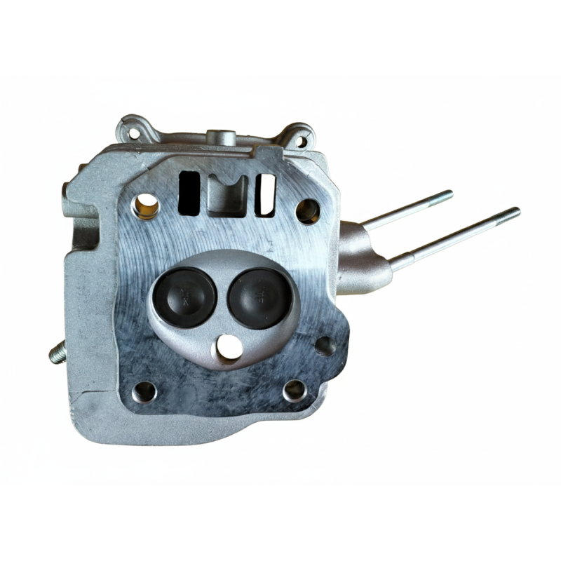 Ansamblu Chiulasa pentru motoare benzina 163cmc