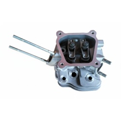 Ansamblu Chiulasa pentru motoare benzina 163cmc