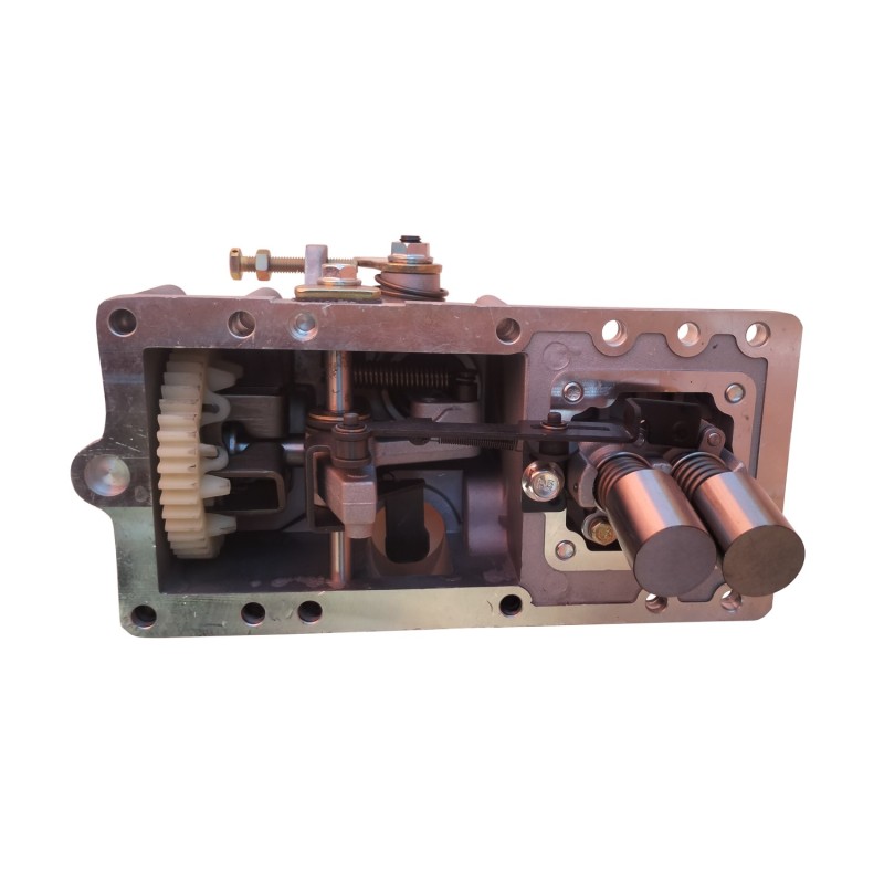 Ansamblu Regulator turatie cu pompa injectie pentru motor YD2V80