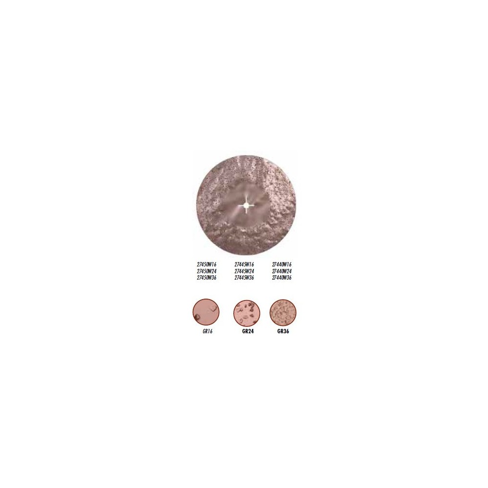 Disc din carbura de tungsten pt. slefuiri placi, Ø450mm, gran. 24 - Raimondi-27445W24