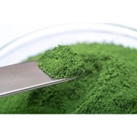 Pigment pulbere pentru colorarea materialelor de construcții Bayferrox® GN Oxid de crom verde (25 kg) - BAY-GN-25