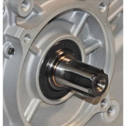 Panda PD188F - Motor benzina 13CP, 389cc, 1C 4T OHV, euro5, ax canelat