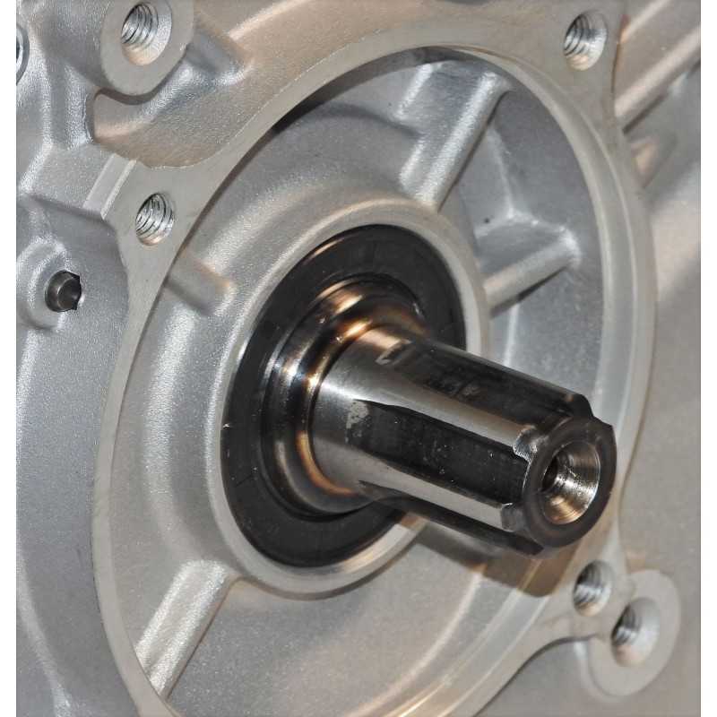 Panda PD188F - Motor benzina 13CP, 389cc, 1C 4T OHV, euro5, ax canelat