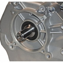 Panda PD190F - Motor benzina 16CP, 420cc, 1C 4T OHV, euro5, ax canelat