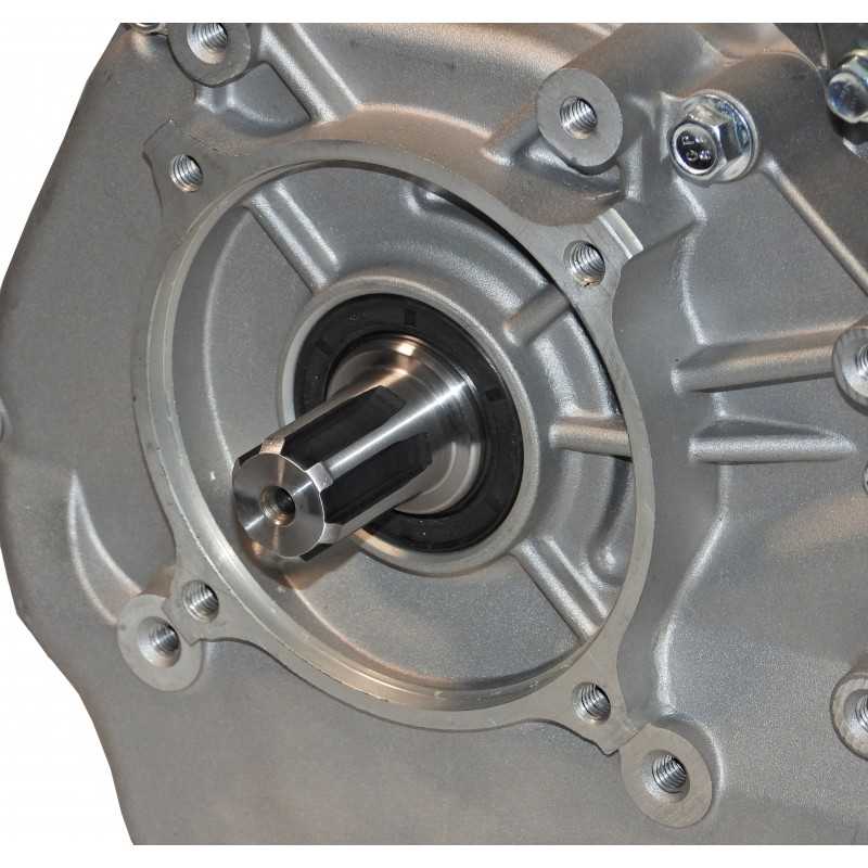 Panda PD190F - Motor benzina 16CP, 420cc, 1C 4T OHV, euro5, ax canelat