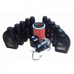 Pachet revizie motor diesel Kipor KM493ZG, filtre, ulei